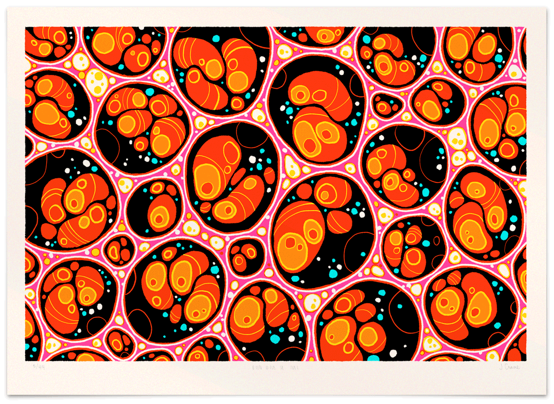 Each Cell, Every One